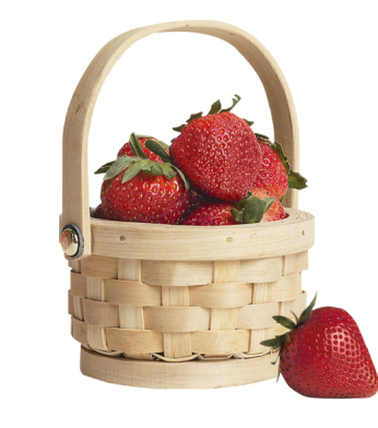 Strawberry basket